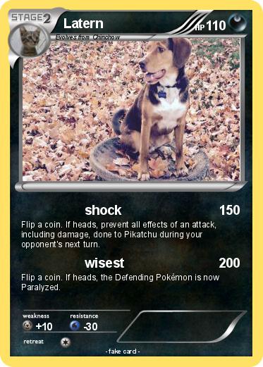 Pokemon Latern