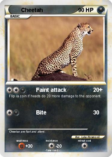 Pokemon Cheetah