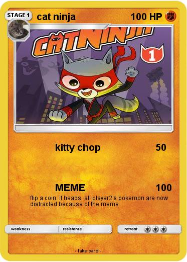 Pokemon cat ninja