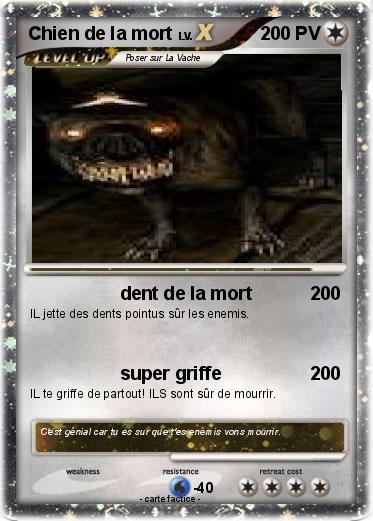Pokemon Chien de la mort