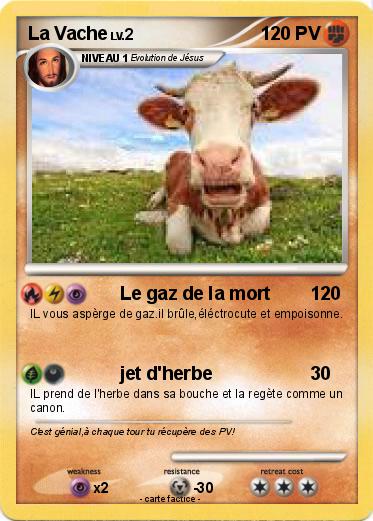 Pokemon La Vache
