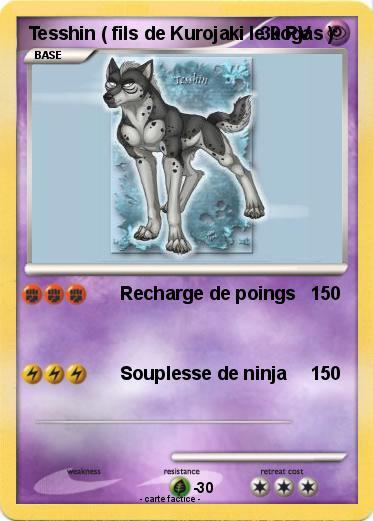 Pokemon Tesshin ( fils de Kurojaki le kogas )