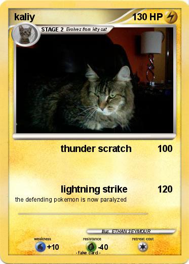 Pokemon kaliy