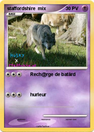 Pokemon staffordshire  mix