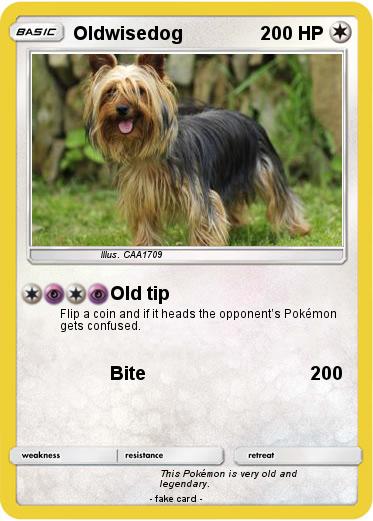 Pokemon Oldwisedog