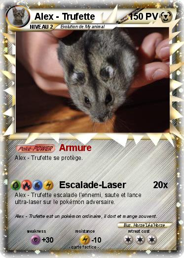 Pokemon Alex - Trufette