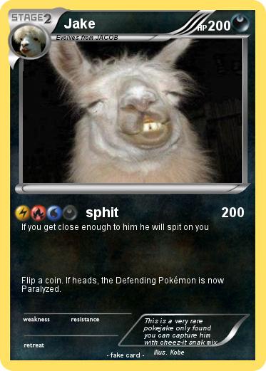 Pokemon Jake
