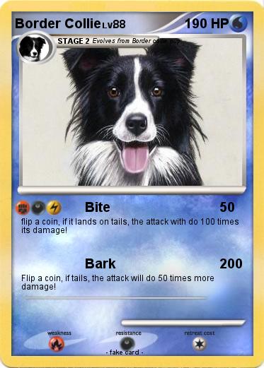 Pokemon Border Collie