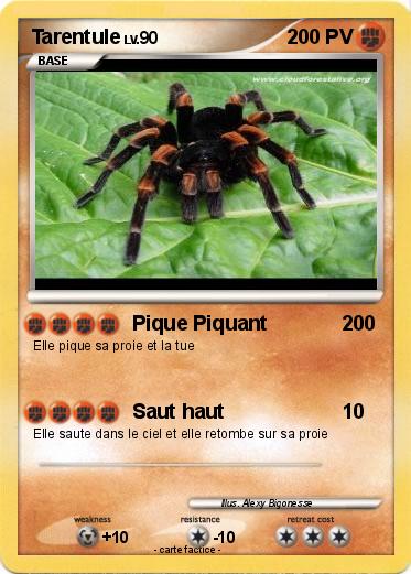 Pokemon Tarentule