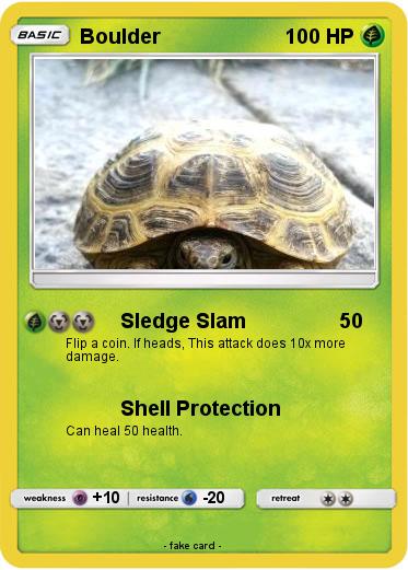 Pokemon Boulder