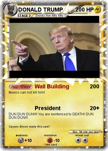 Pokemon DONALD TRUMP