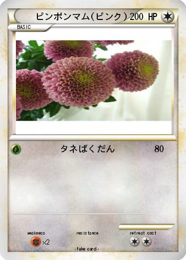 Pokemon ピンポンマム(ピンク)