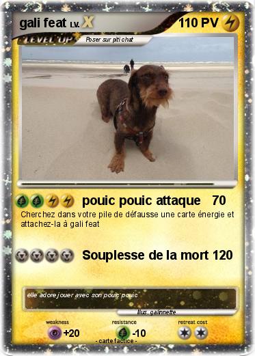 Pokemon gali feat