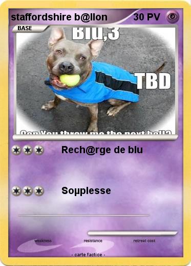 Pokemon staffordshire b@llon