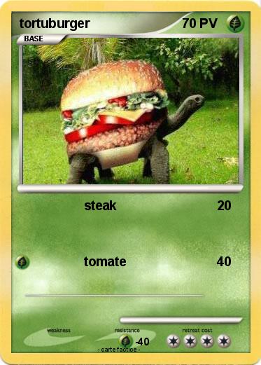 Pokemon tortuburger