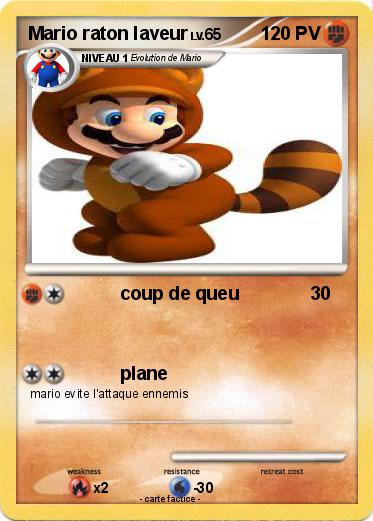 Pokemon Mario raton laveur