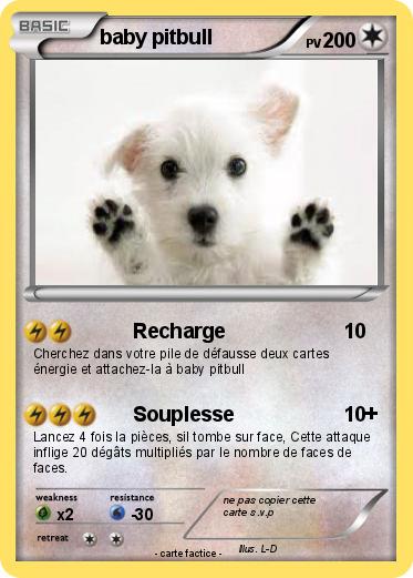 Pokemon baby pitbull