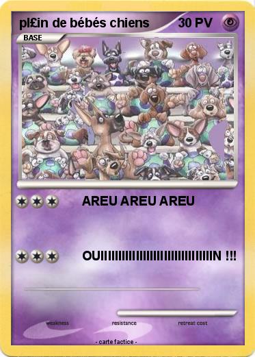 Pokemon pl£in de bébés chiens