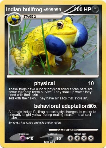 Pokemon Indian bullfrog