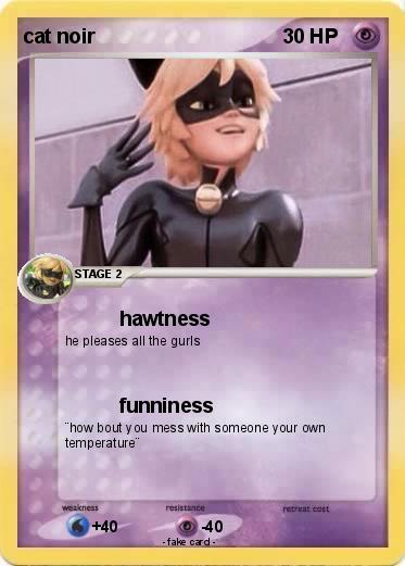 Pokemon cat noir