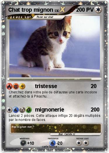 Pokemon Chat trop mignon