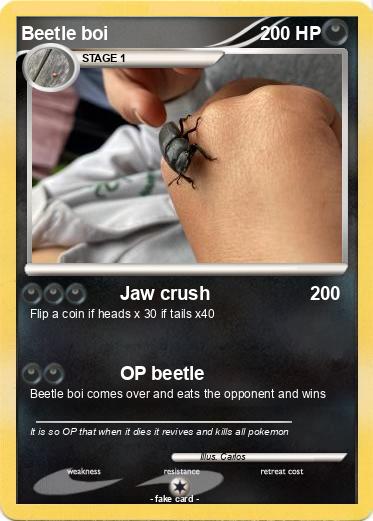 Pokemon Beetle boi