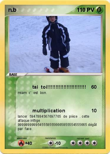Pokemon n.b