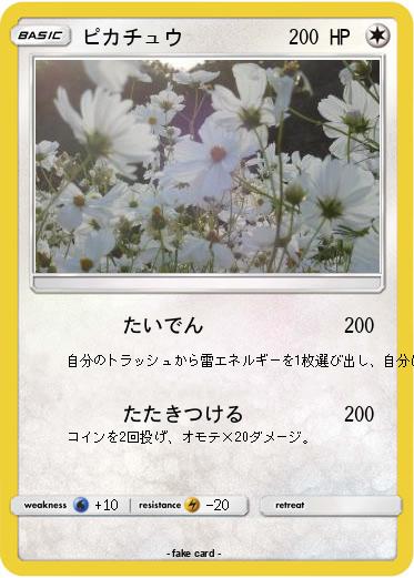 Pokemon ピカチュウ