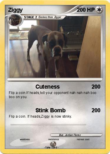 Pokemon Ziggy