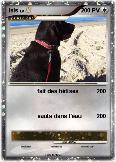 Pokemon Isis