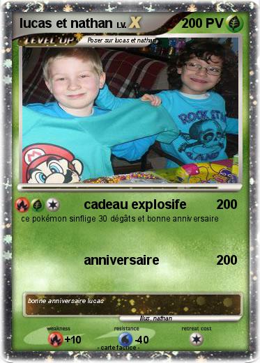Pokemon lucas et nathan