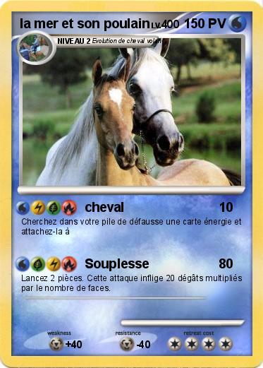 Pokemon la mer et son poulain