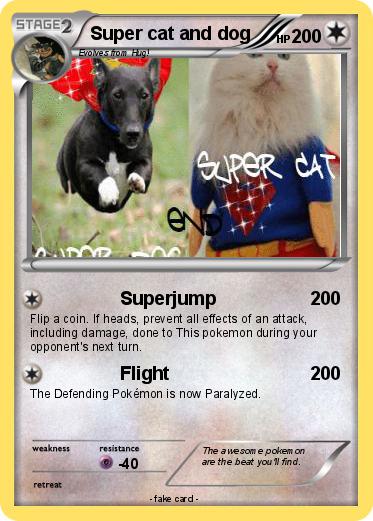 Pokemon Super cat and dog