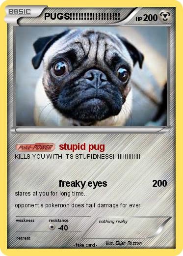 Pokemon PUGS!!!!!!!!!!!!!!!!!!