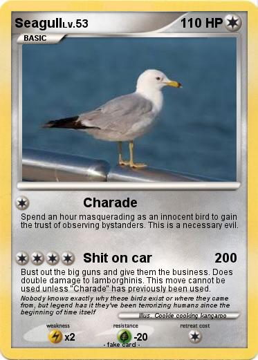 Pokemon Seagull