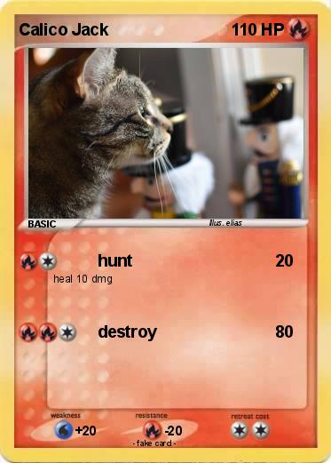 Pokemon Calico Jack