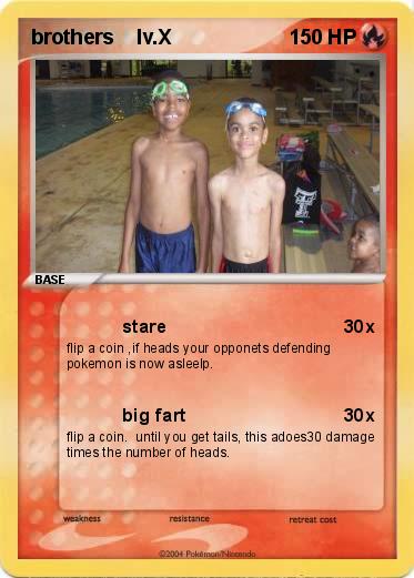 Pokemon brothers    lv.X