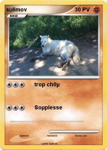 Pokemon sulimov