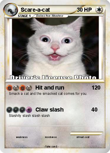Pokemon Scare-a-cat