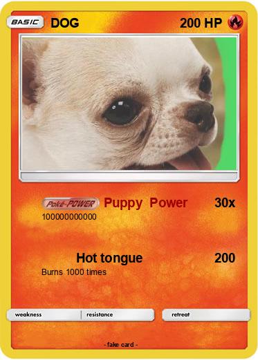 Pokemon DOG