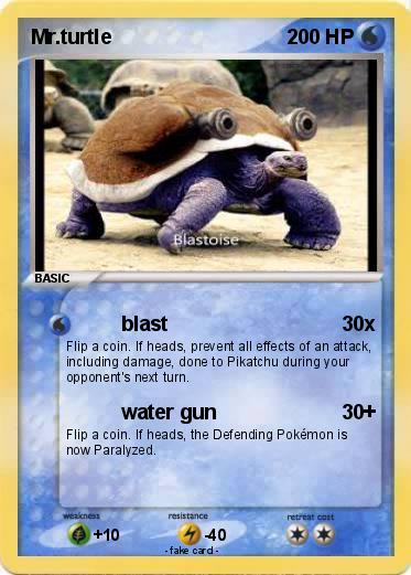 Pokemon Mr.turtle