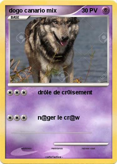 Pokemon dogo canario mix