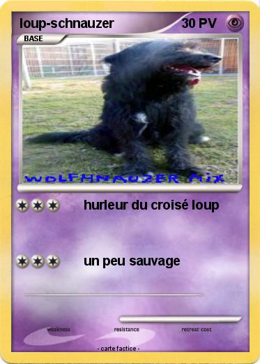 Pokemon loup-schnauzer