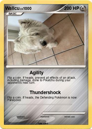 Pokemon Wallcu