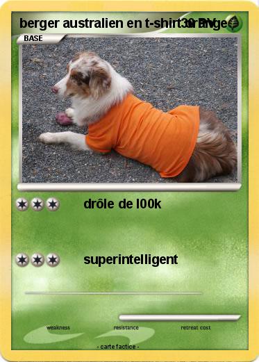 Pokemon berger australien en t-shirt orange