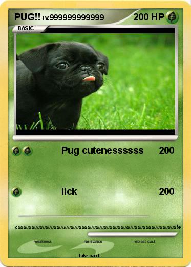 Pokemon PUG!!