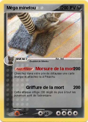 Pokemon Méga minetou