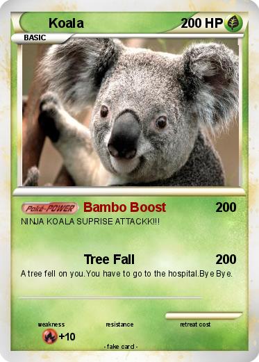 Pokemon Koala