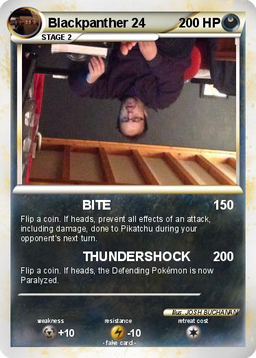 Pokemon Blackpanther 24