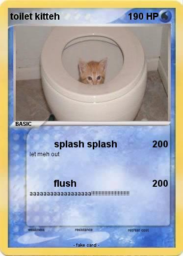 Pokemon toilet kitteh